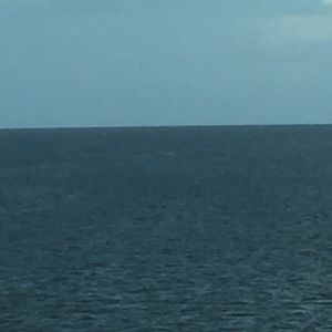 Meet your Posher, Lacey